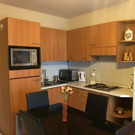 Le Vina Del Mar Bloc B 公寓 *